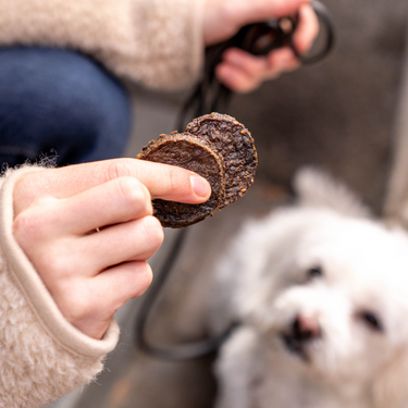 Buddy Pet Foods - Burger Treats