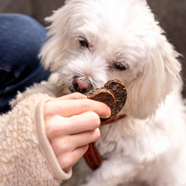 Buddy Pet Foods - Burger Treats