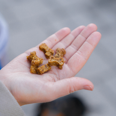 Buddy Pet Foods - Training Snacks