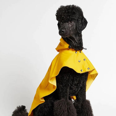 The Painter's Wife | Yellow Rain Cape