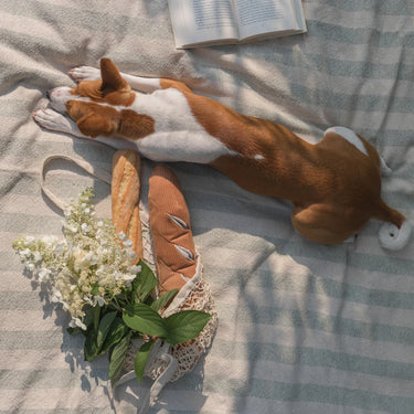 Lambwolf Collective Enrichment Toy | Baguette