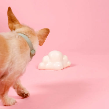 Barc London Squeaky Dog Toy | Cloud