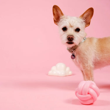 Barc London Squeaky Dog Toy | Cloud