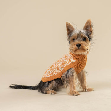 Alqo Wasi Buttercup Alpaca Dog Sweater