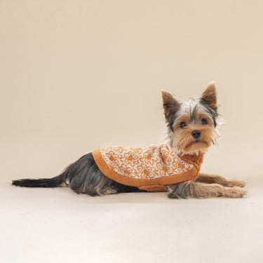 Alqo Wasi Buttercup Alpaca Dog Sweater
