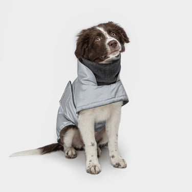 Cloud 7 - Brooklyn Reflective Dog Coat