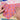Colorful checkered dog bandana with 'Cafide' branding held by hands on a white background