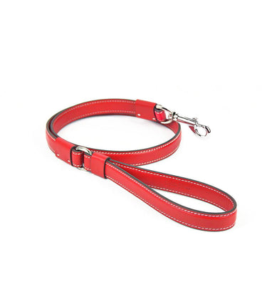 Carlotta Palermo Leather Lead | Strong
