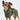 Cloud7 Dog Bathrobe | Cotton