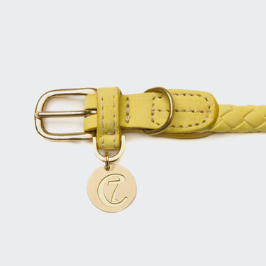 Cloud 7 Ravello Dog Collar