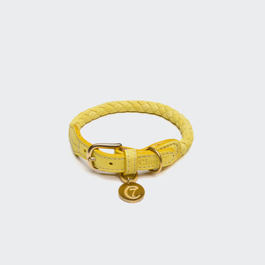 Cloud 7 Ravello Dog Collar