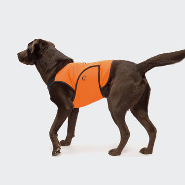 Cloud 7 - Cooling Vest