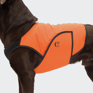 Cloud 7 - Cooling Vest