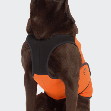 Cloud 7 - Cooling Vest