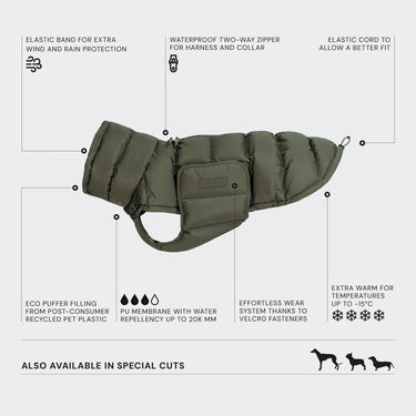 Cloud7 Alaska Coat | Green