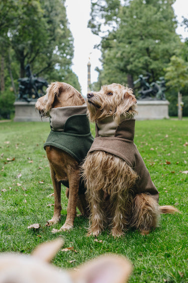 Cloud7 Brooklyn Flannel Coat | Fern Green