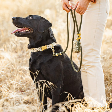 The Foggy Dog Marine Rope Leash | Olive