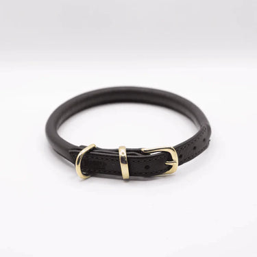 Dogs and Horses - Brown Rolled Leather Collar