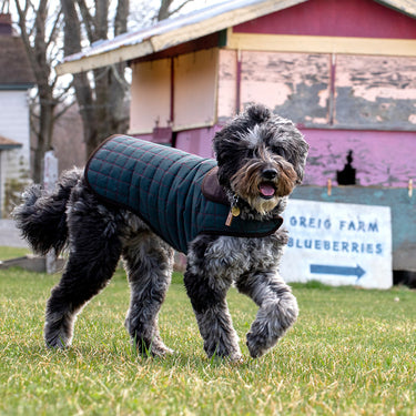Paco & Lucia Waterproof Dog Coat | Dark Green