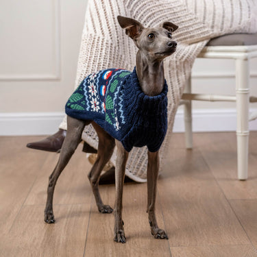 Alqo Wasi Christmas Sweater | Blue Gnome