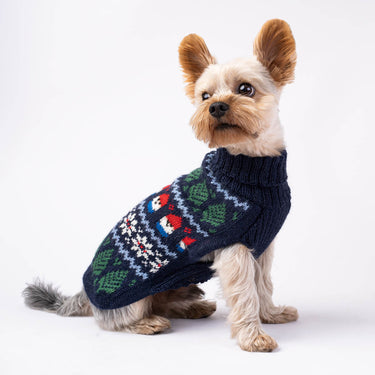 Alqo Wasi Christmas Sweater | Blue Gnome