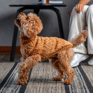 Alqo Wasi Alpaca Dog Sweater | Golden Ochre