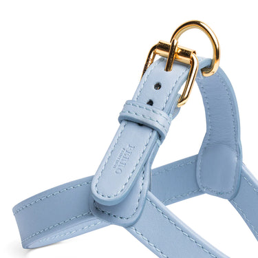 Perro Collection - Powder Blue Leather Dog Harness