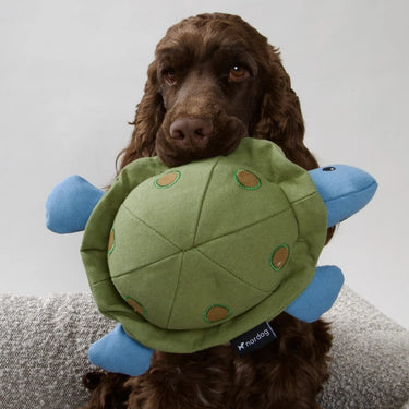 Nordog - Kim The Turtle