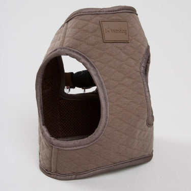 Nordog Dog Harness | Park
