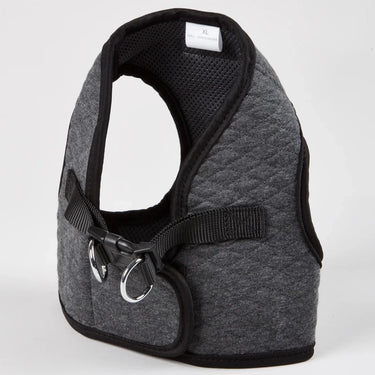 Anthracite Puppy Harness