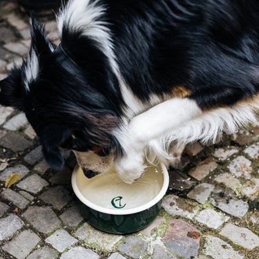 Cloud 7 Enamel bowl