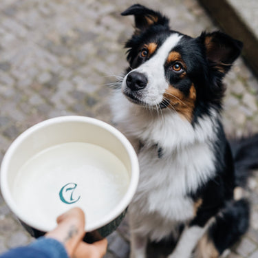 Cloud 7 Enamel bowl