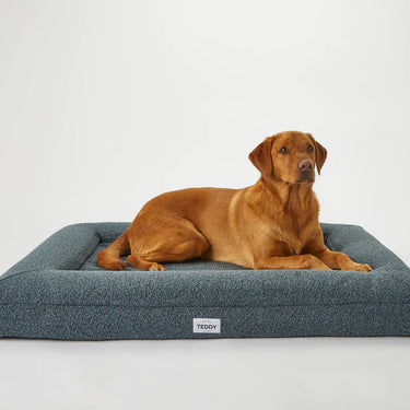 Teddy London Boucle Bed