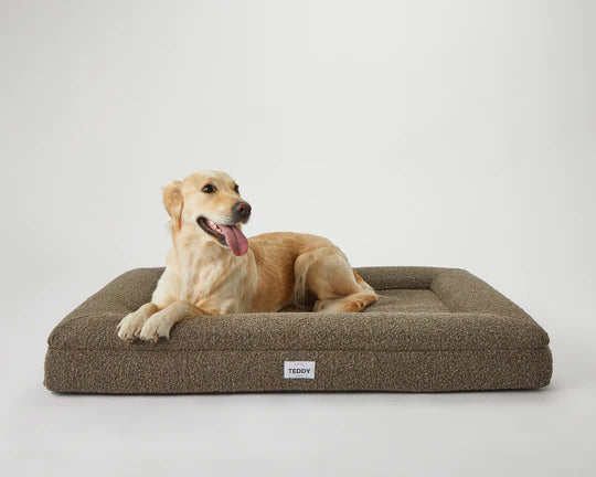 Kirkland signature bolstered memory foam deals pet bed