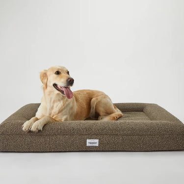 Teddy London Boucle Bed