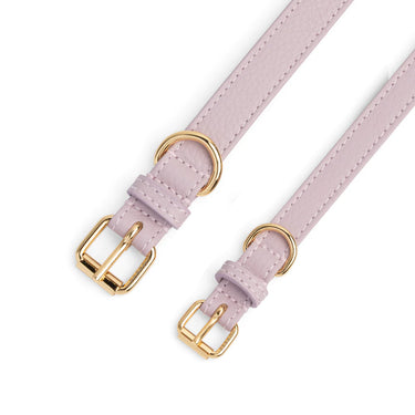 Perro Collection - Lila Leather Collar