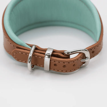 Dogs And Horses - Hound Collar