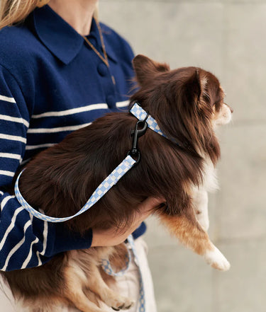Cafide Checkered Collar | Blue
