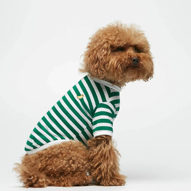 The Painter's Wife - Green Stripy Dog Tee