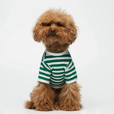 The Painter's Wife - Green Stripy Tee