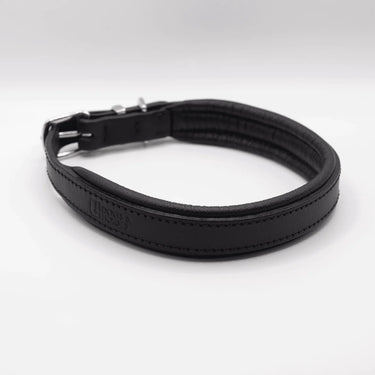 Dogs and Horses - Black Padded Leather Collar