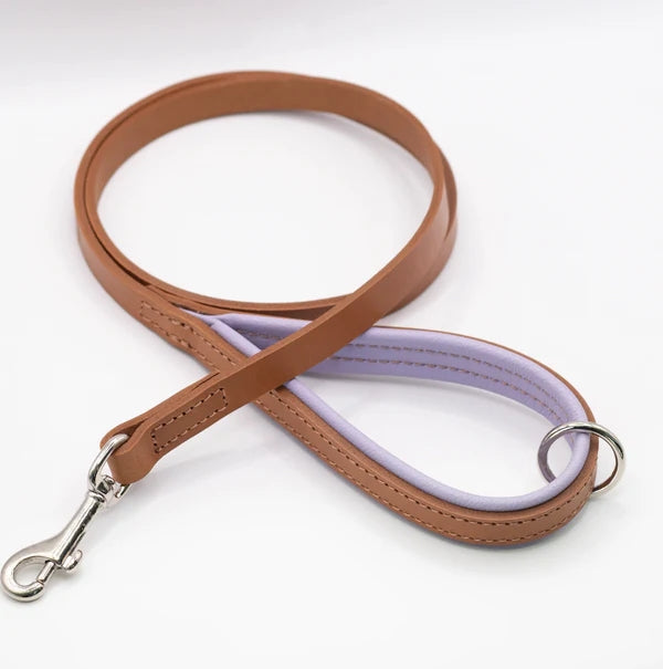 Dogs and best sale horses padded collar