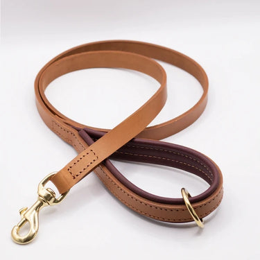 Dogs And Horses - Padded Leather Lead