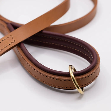 Dogs And Horses - Padded Lead