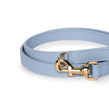 Perro Collection- Powder Blue Leather Lead