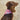 Brown dog wearing a colorful bandana with a brand label on a beige background