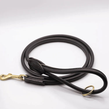 Dogs And Horses - Rolled Leather Lead