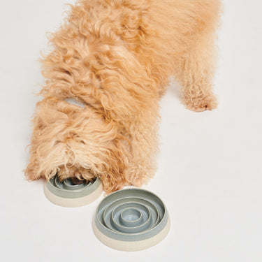 Pawness - Ceramic Slow Feeder