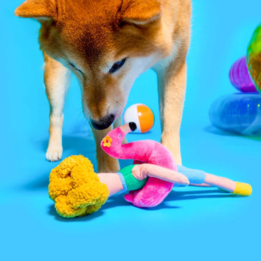 The Furryfolks Nosework Toy | Flamingo Hooman