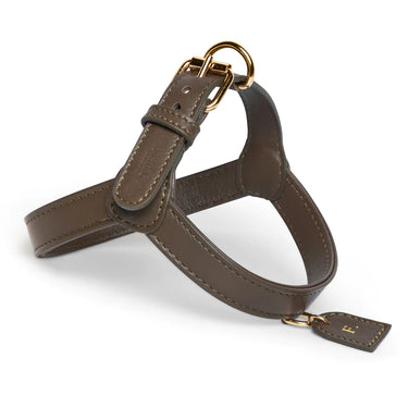 Perro Collection - Truffle Leather Dog Harness